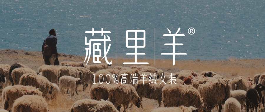 心灵之旅 · 西藏羊绒 | 藏里羊的信仰之光